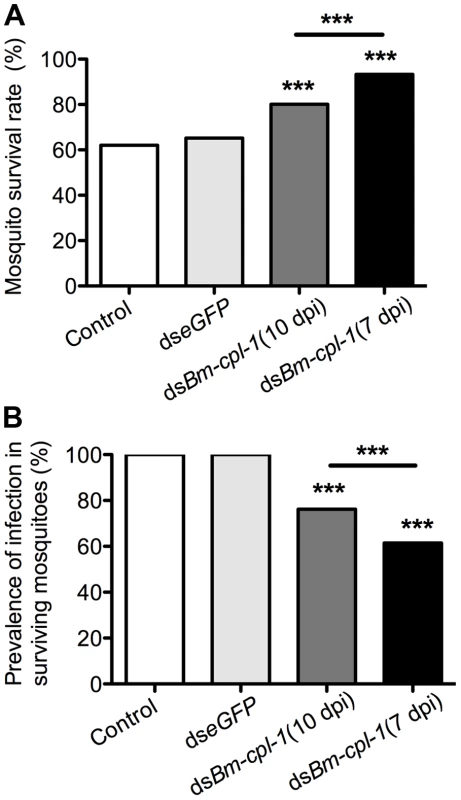<i>Ae. aegypti</i> survival significantly increases as infection prevalence decreases in <i>Bm-cpl-1</i>-dsRNA exposed mosquitoes.