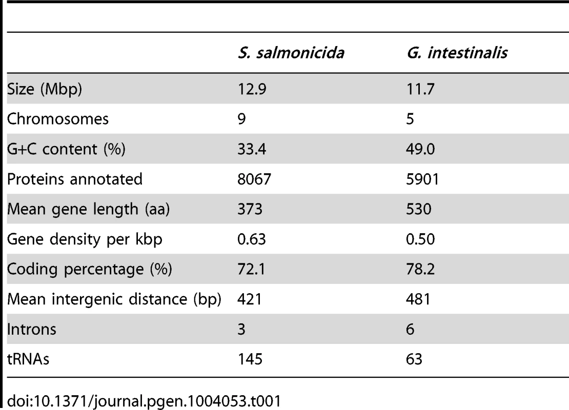 Comparison of the <i>S. salmonicida</i> and <i>G. intestinalis</i> genomes.