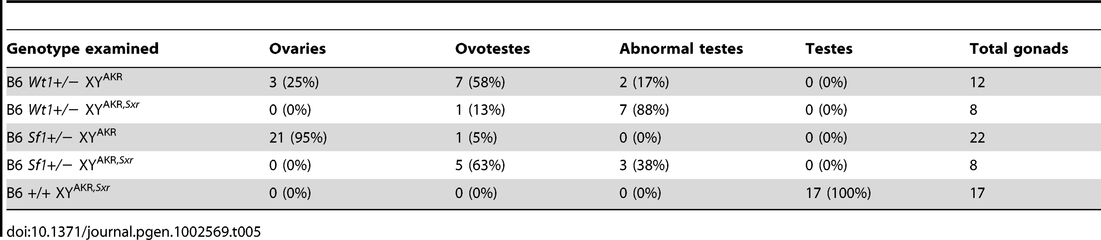Increasing <i>Sry</i> dosage partially rescues the sex reversal phenotypes of E13.5 B6 XY<sup>AKR</sup>, <i>Wt1</i>+/− B6 XY<sup>AKR</sup>, and <i>Sf1</i>+/− B6XY<sup>AKR</sup> gonads.