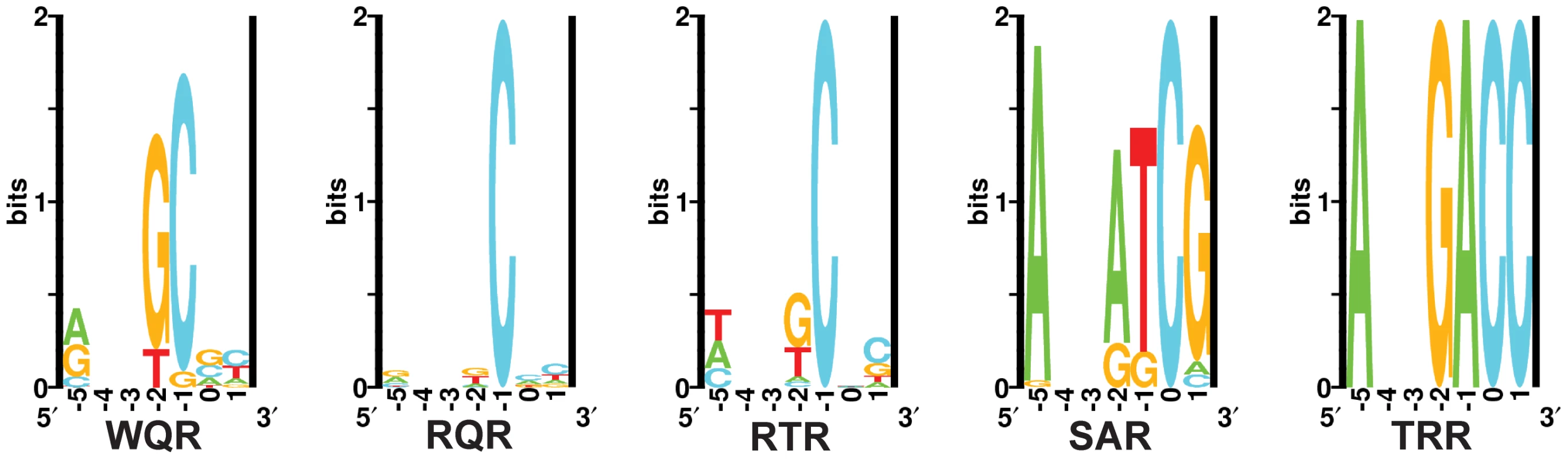 <i>In vivo</i> binding site selection logos.