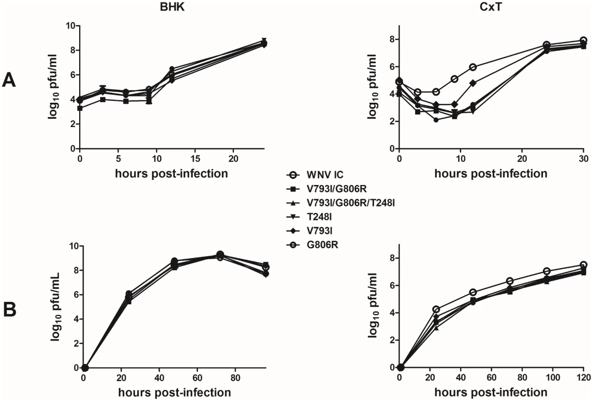Host-specific effects of WNV replication complex mutations on replicative fitness <i>in vitro</i>.