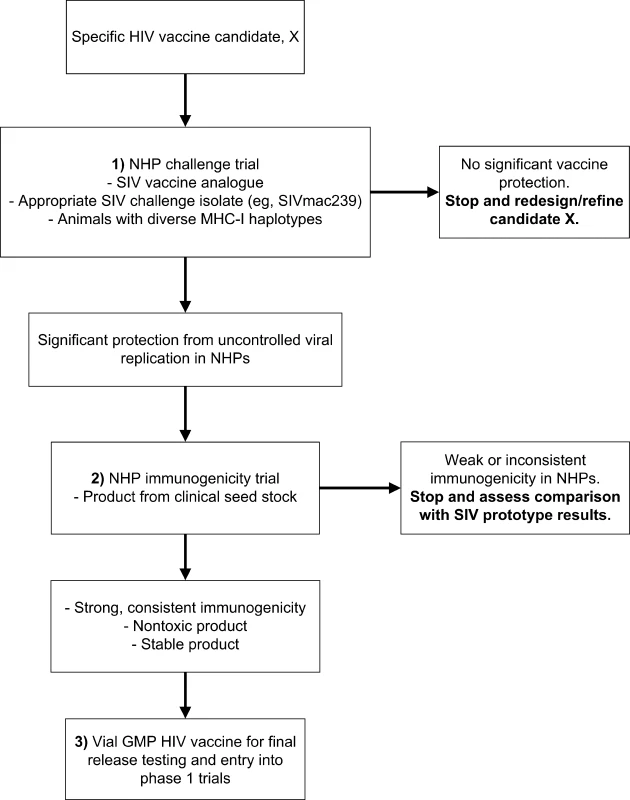 Proposed Strategy for the Effective Use of NHPs in Preclinical Testing of Candidate HIV-1 T Cell–Based Vaccines