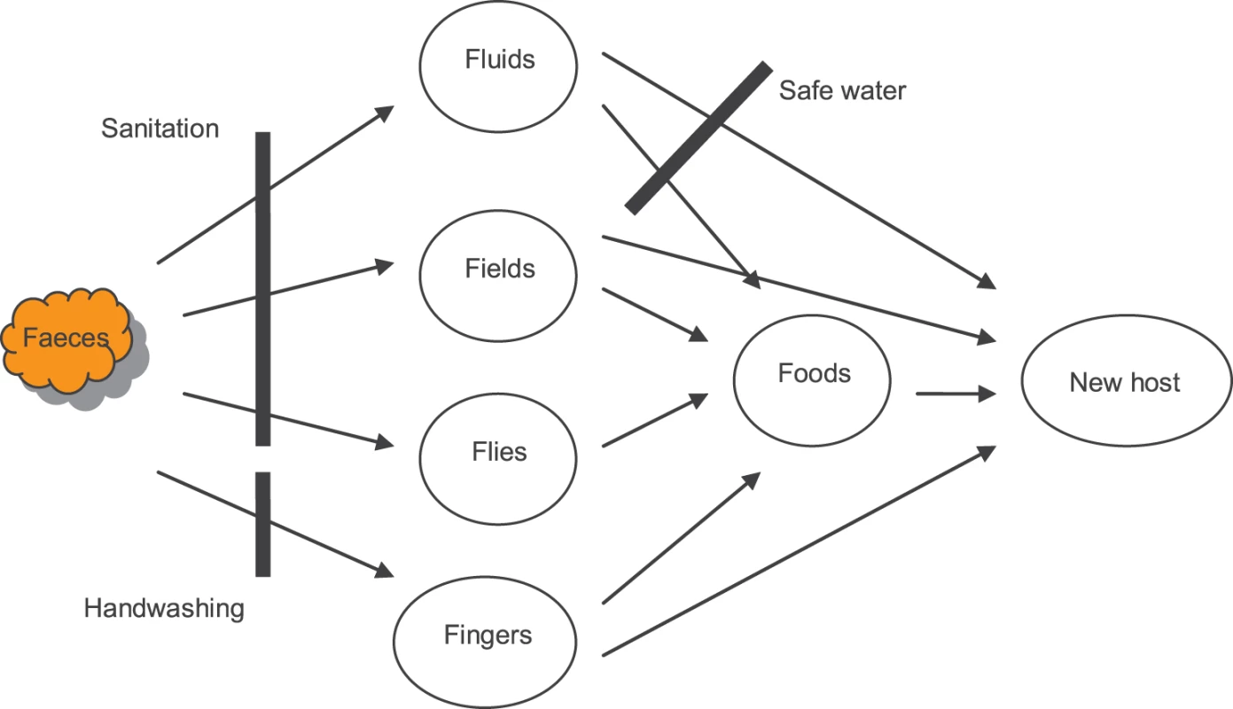 Faeco-oral disease transmission pathways and interventions to break them.