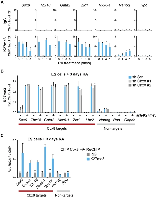 Cbx8 binds to persisting K27 methylation during differentiation.