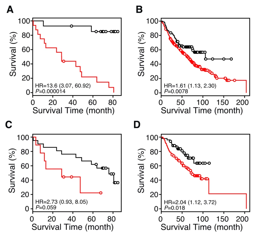 Kaplan-Meier plots showing the predictive power of the NR gene signature in datasets from the NCI Director's Consortium.