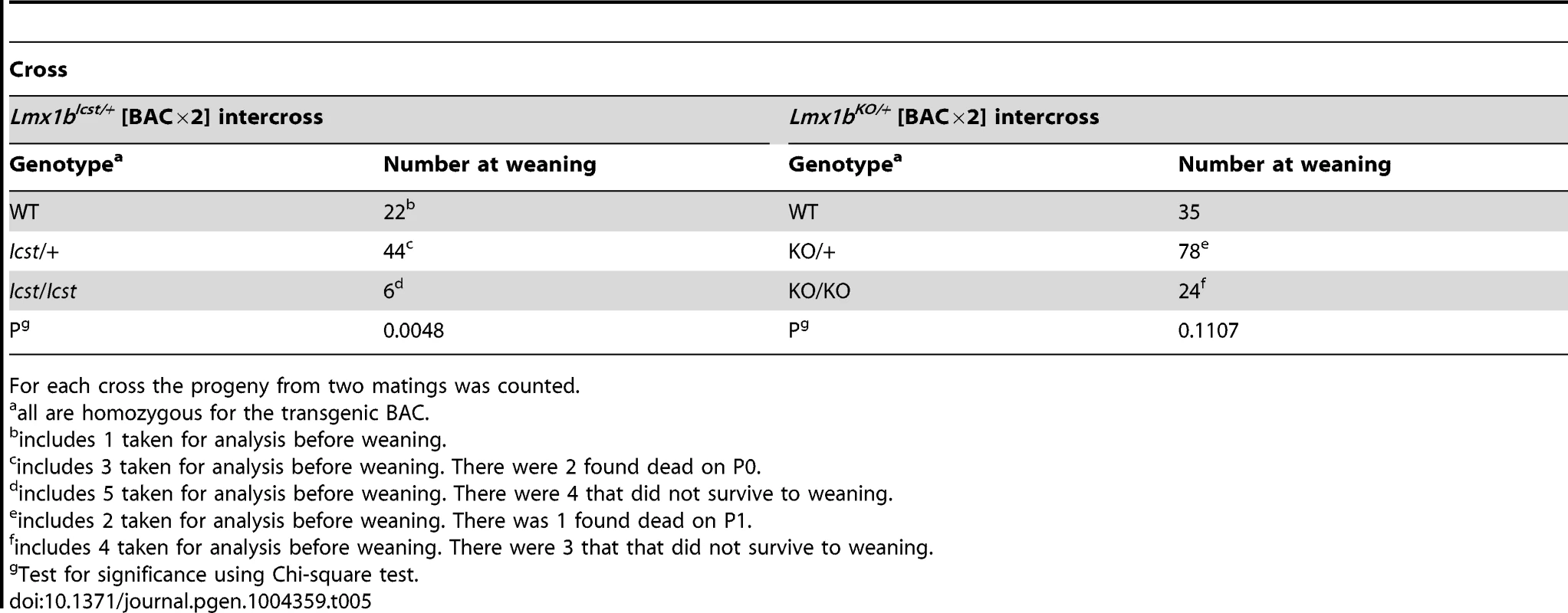 Homozygosity for the BAC transgene can rescue both the <i>Icst</i> and knockout lethal phenotypes.