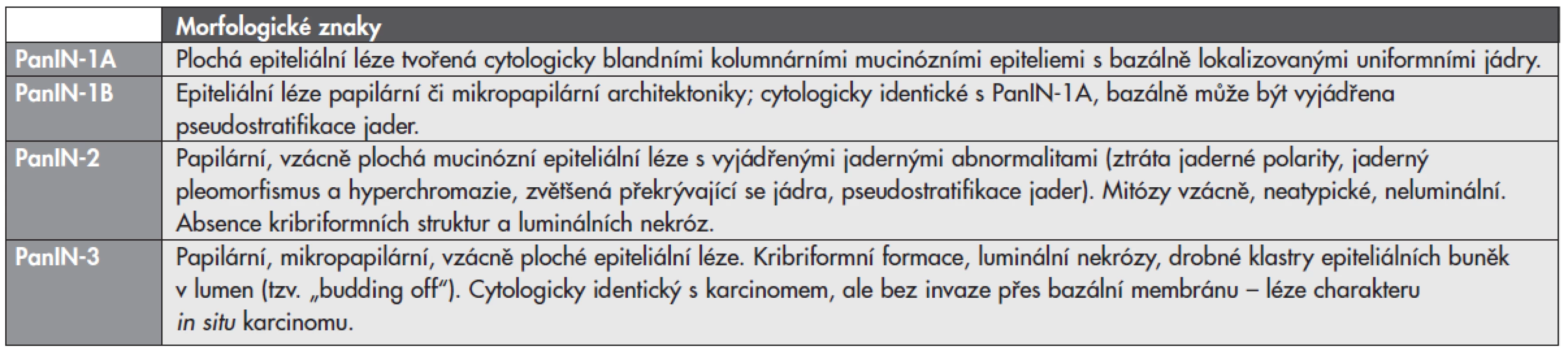 Morfologické znaky pankreatických intraepiteliálních neoplazií (PanIN).