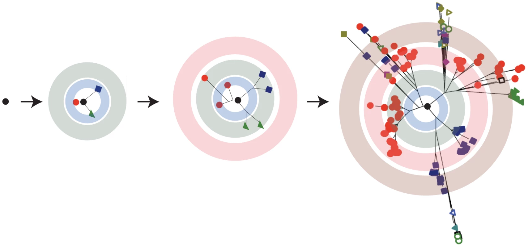 RNA viruses exist as a quasispecies.
