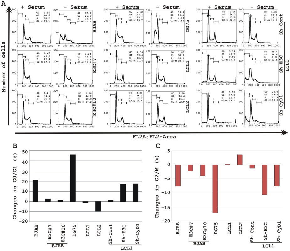 EBNA3C and Cyclin D1 are critical for G1 to S phase progression.