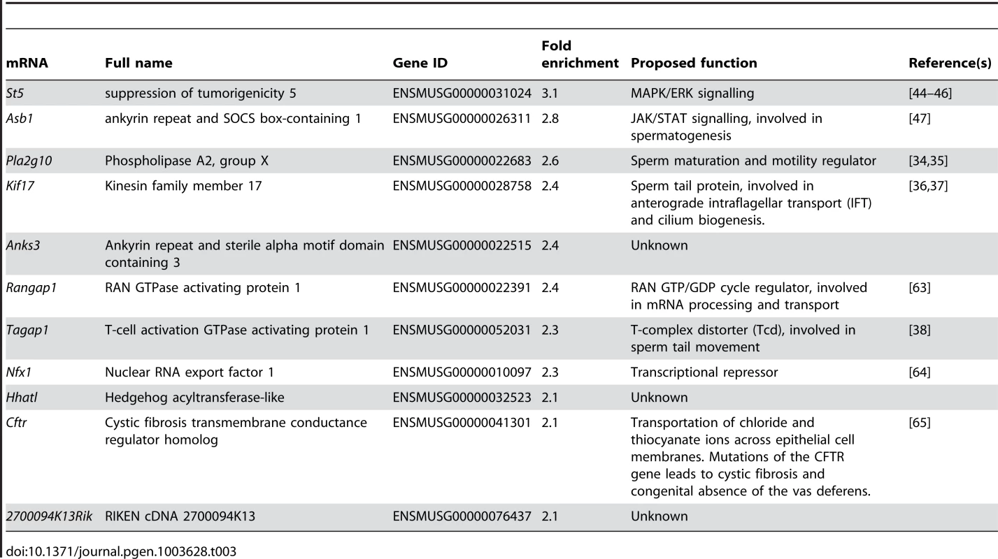 RBM5 target mRNAs in round spermatids identified using RNA pull down coupled with microarrays.