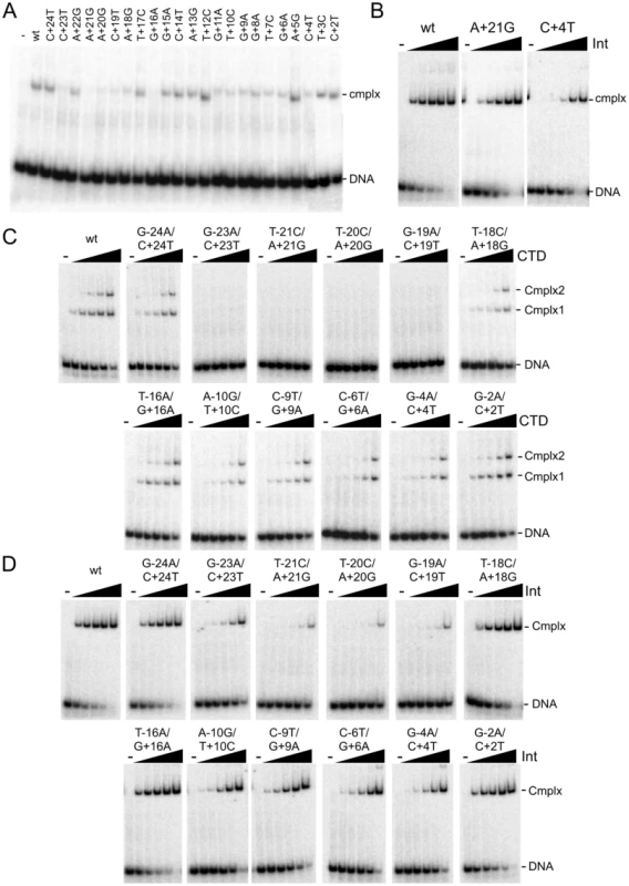 Binding of Int and CTD to P′ and double mutant substrates.
