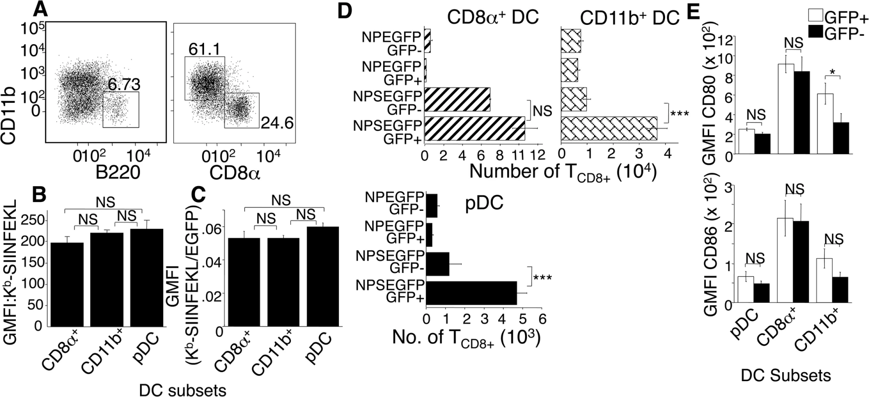 DC subsets are equally efficient in direct antigen presentation.