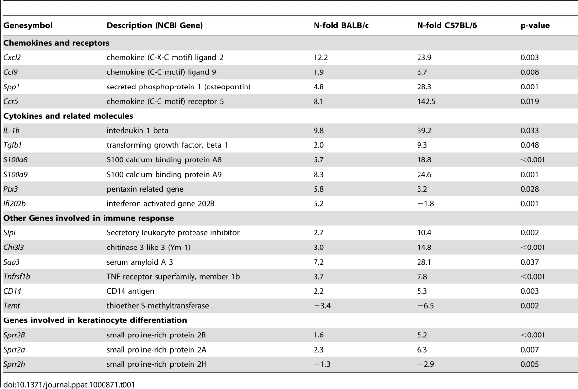 Genes with differential regulation in C57BL/6 or BALB/c mice upon <i>L. major</i> infection.