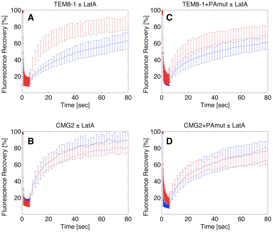 Effect of latrunculin A on the surface mobility of TEM8-1 and CMG2.