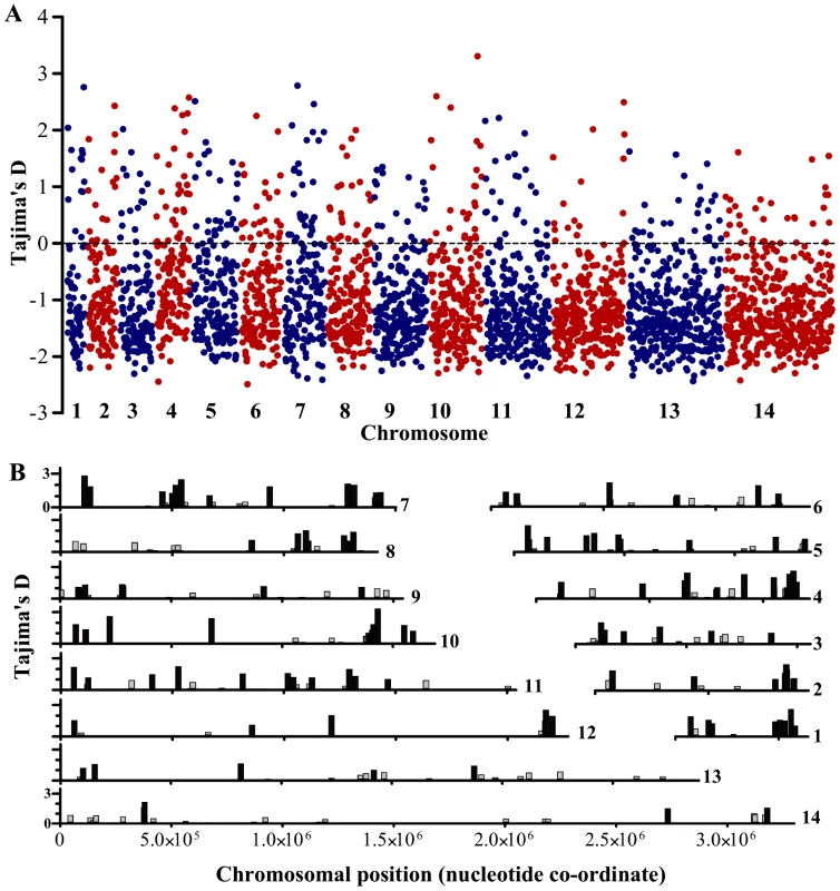 Distribution of Tajima's D values across all 14 chromosomes for each of the 2,853 <i>P. falciparum</i> genes with 3 or more SNPs in the Gambian population.