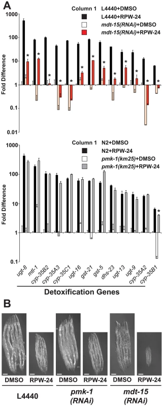 Protection from the toxic effects of the xenobiotic RPW-24 requires MDT-15, but not PMK-1.