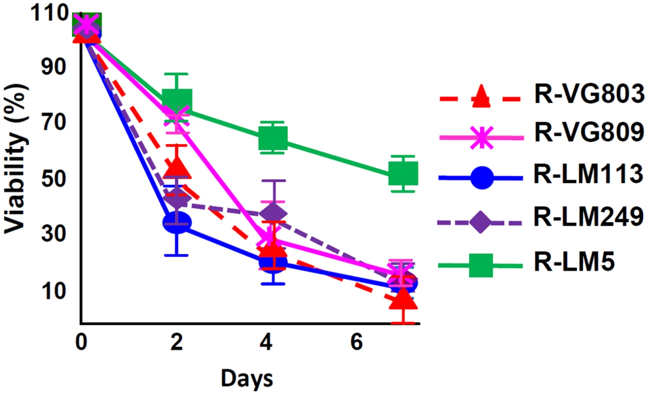 Cell killing ability of R-VG803 and R-VG809 for SK-OV-3 cells.