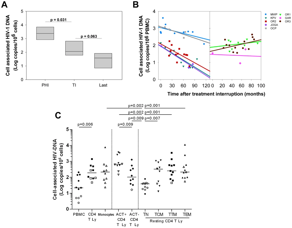 Post-treatment controllers have very low levels of cell-associated HIV DNA which keep decreasing after treatment interruption for some patients.
