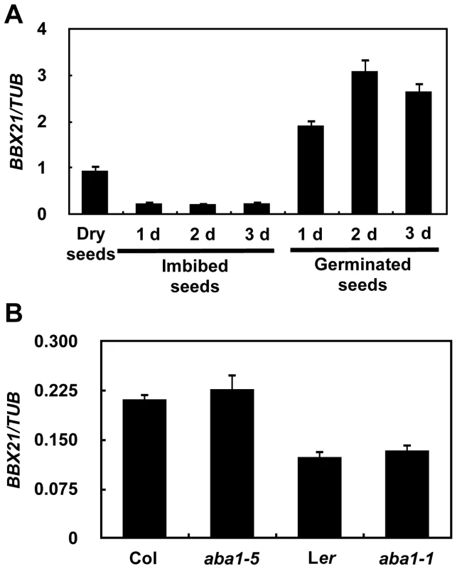 Expression pattern of <i>BBX21</i>.