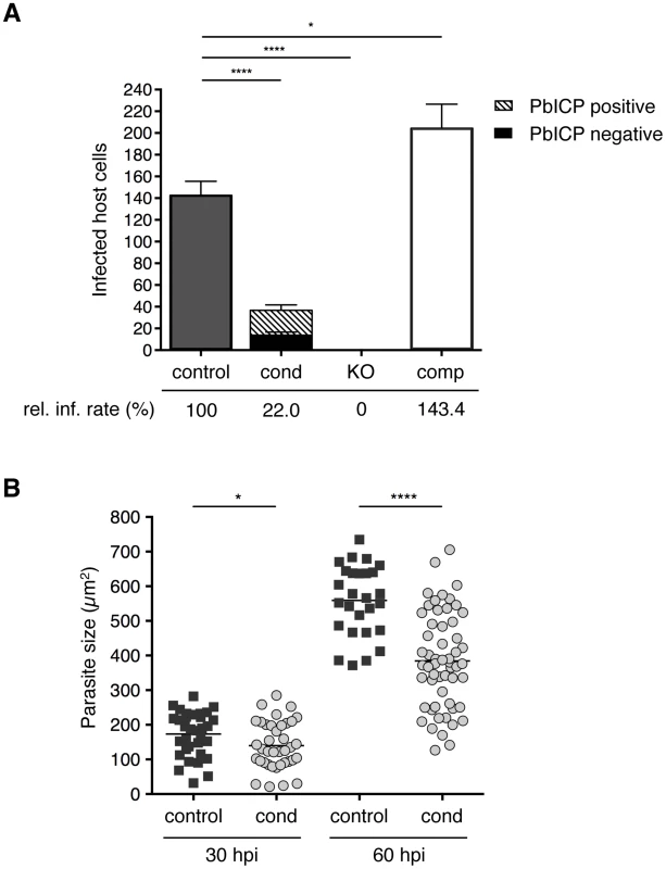 PbICP is important for effective invasion of and development within hepatocytes.