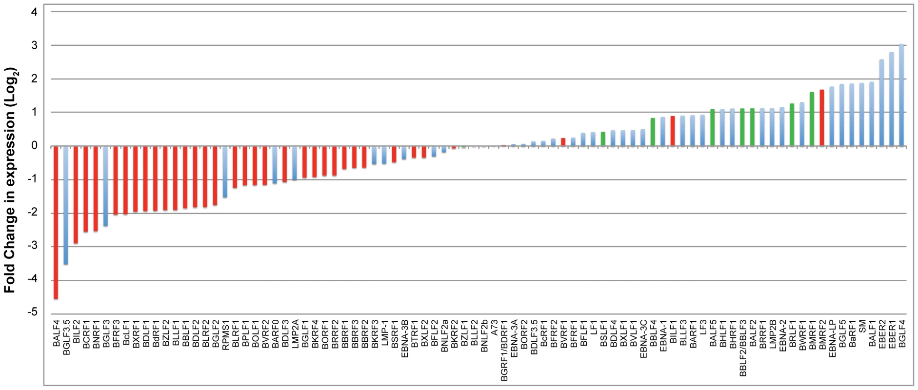 Impact of knockdown of BGLF4 on the EBV transcriptome.