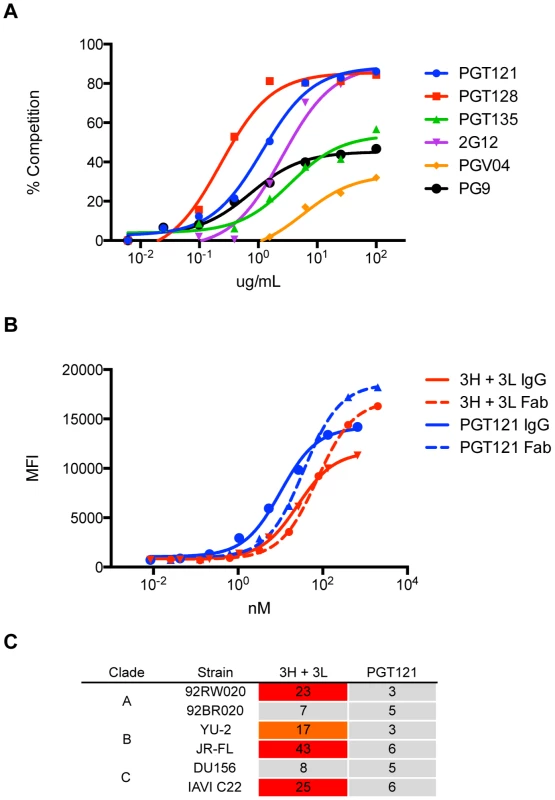 Antibody 3H+3L likely crosslinks between trimers.