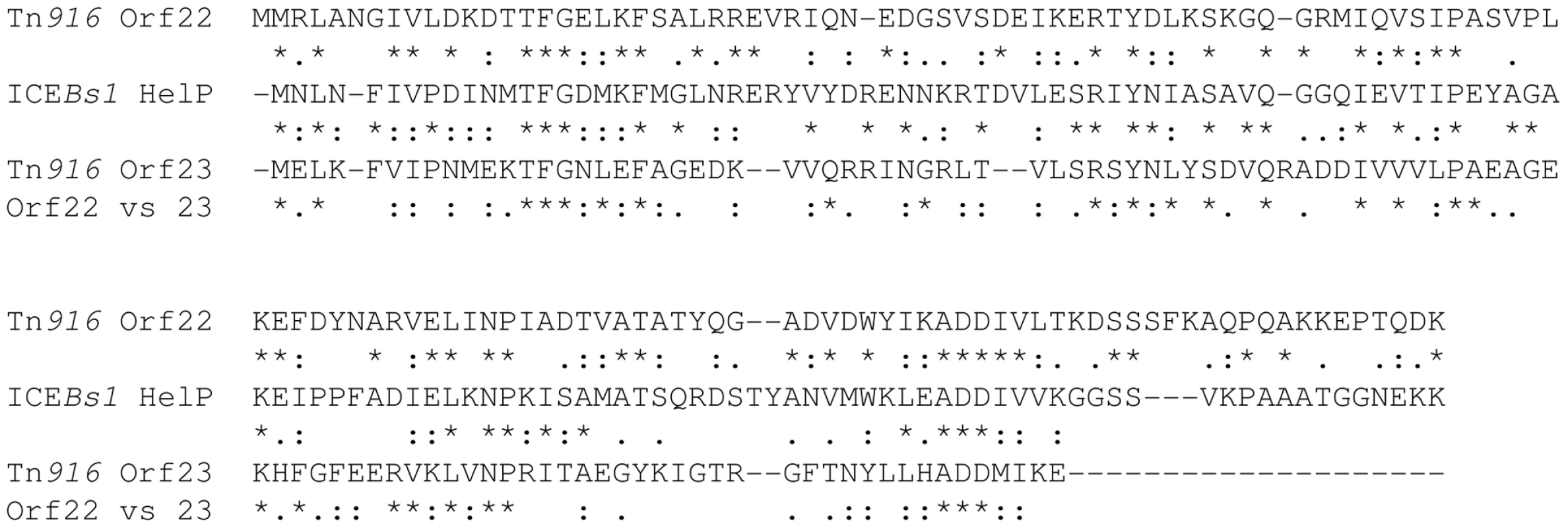 Comparison of HelP to Orf22 and Orf23 of Tn<i>916</i>.