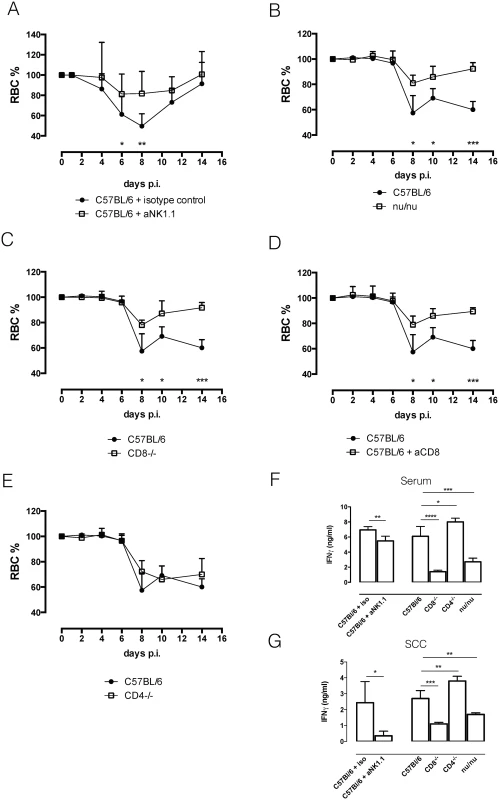 Anemia profiles and IFNγ production.