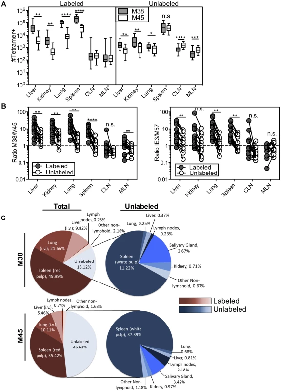 The numerical dominance of inflationary cells is only evident within the blood exposed T cell population.