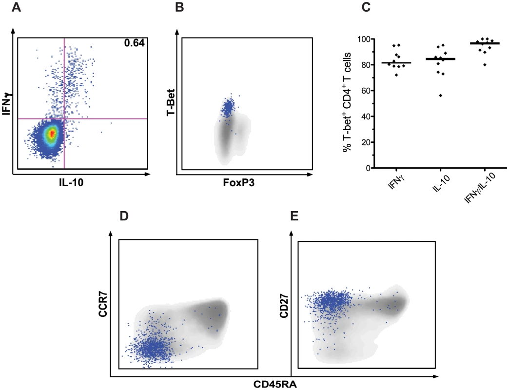 CD4<sup>+</sup> T cells co-producing IFNγ and IL-10 express <i>T-bet</i> and are of an early effector memory phenotype.