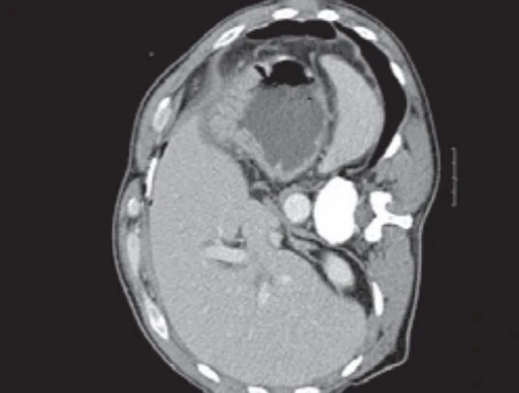  / Fig. 3.