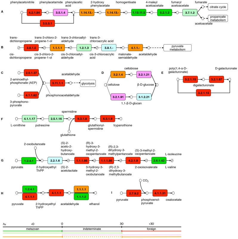 Examples of biochemical diversification encoded by the bdelloid transcriptome.