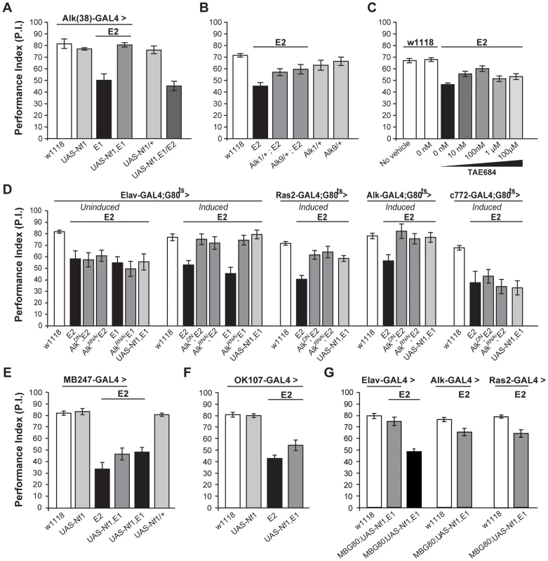 dAlk interacts with dNf1 to regulate learning.
