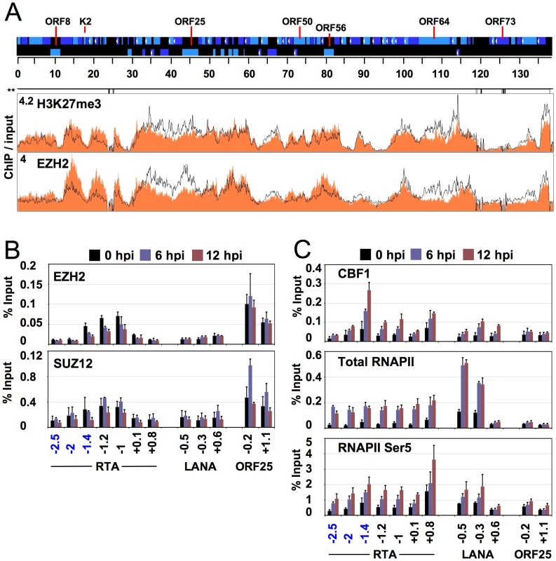 Genome-wide binding of EZH2 to the KSHV genome correlates with the repression of lytic genes.