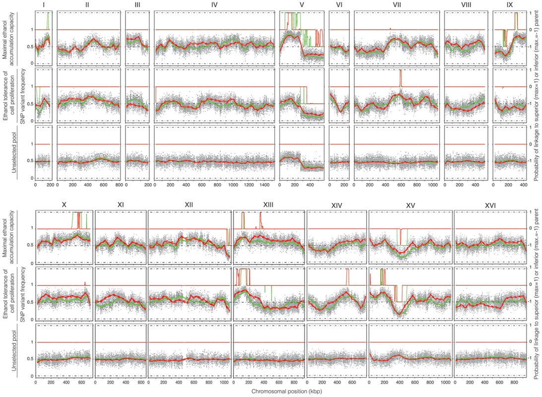 QTL mapping of maximal ethanol accumulation capacity (pool 1) and high ethanol tolerance of cell proliferation (pool 2).