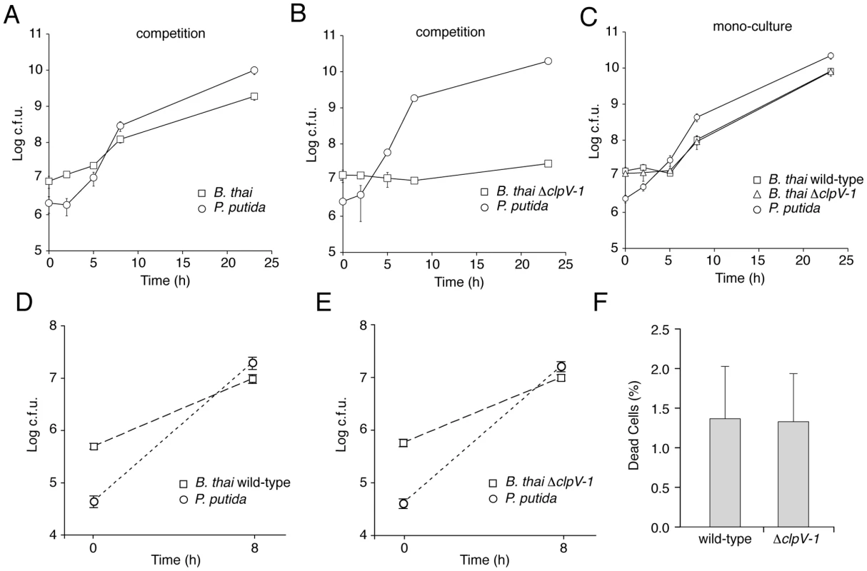T6SS-1 is required for resistance against <i>P. putida</i>-induced growth inhibition.