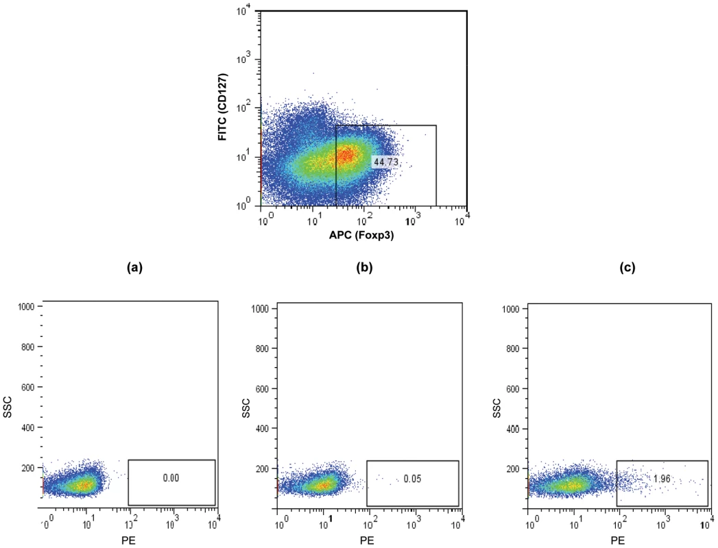 Detection of Ply specific CD127<sup>low/-</sup> FoxP3<sup>+</sup> CD4<sup>+</sup> Treg cells in CD25 enriched tonsil and blood MNC.