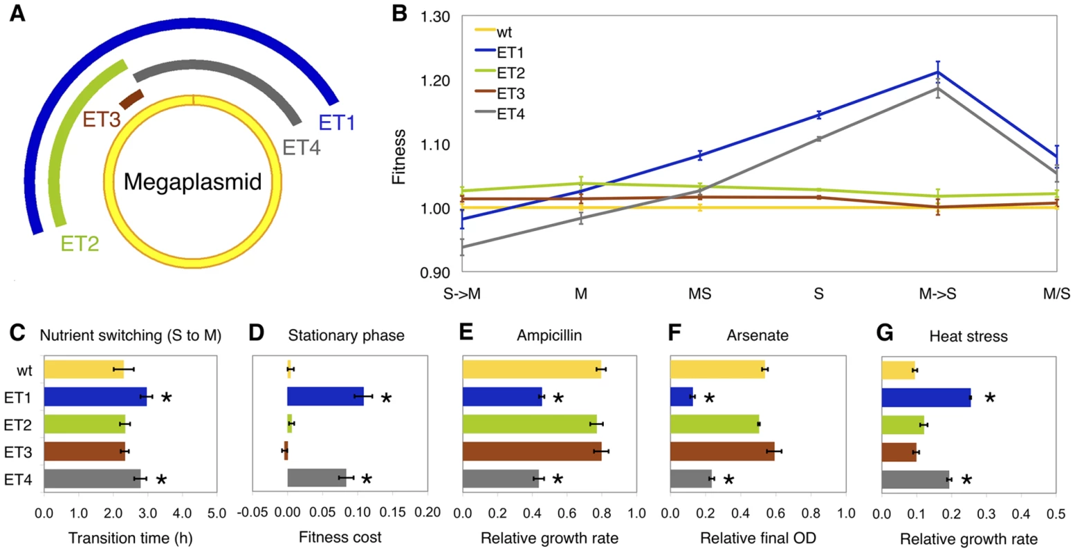 Phenotypes of deletion mutants.
