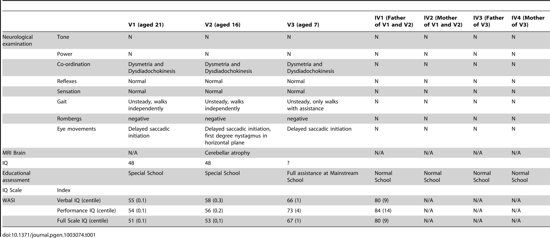 Clinical and neuropsychological assessments of family.