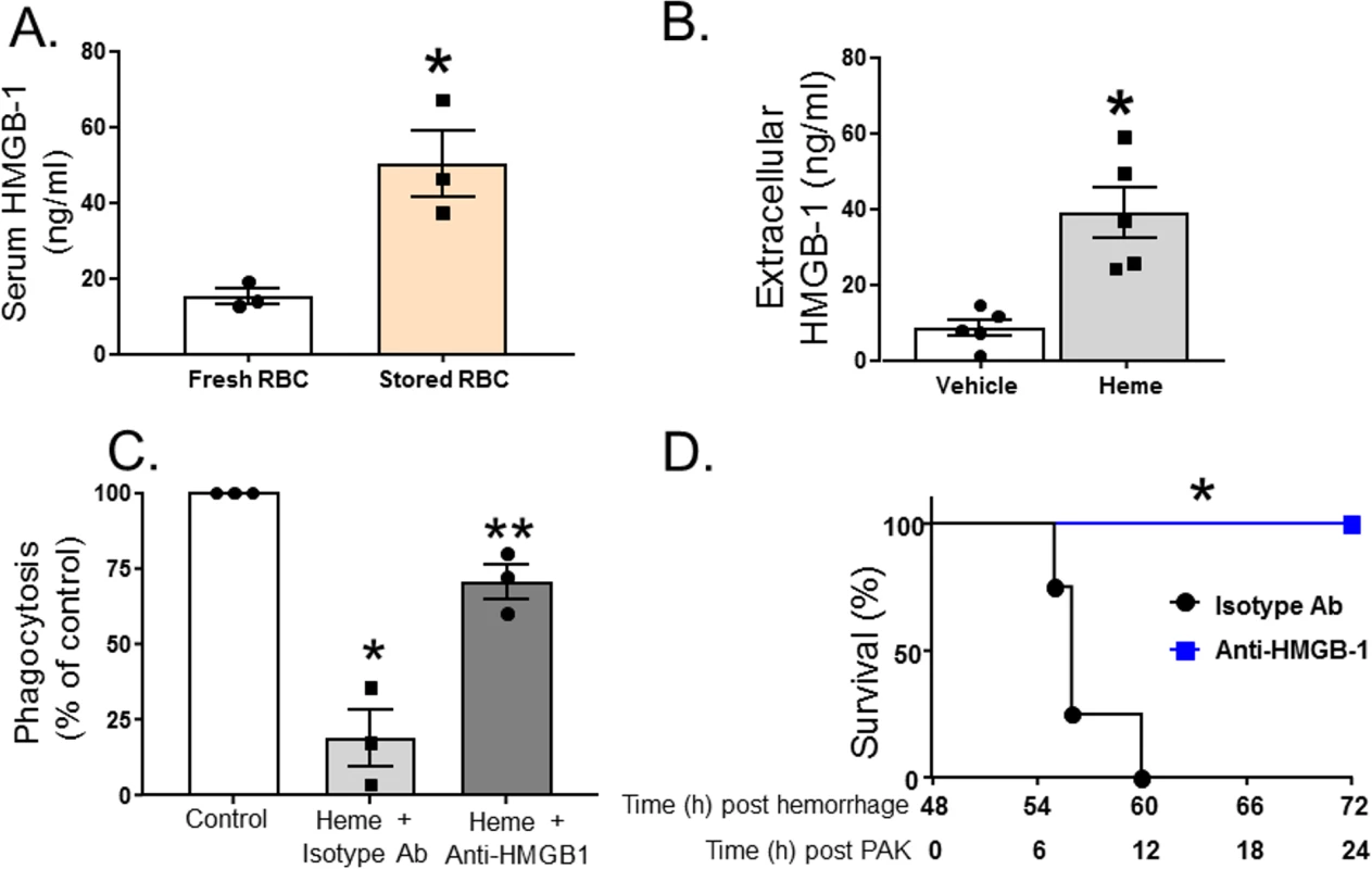 Heme induces exogenous release of HMGB1, which subsequently inhibits phagocytosis of <i>P</i>. <i>aeruginosa</i> by alveolar macrophages.
