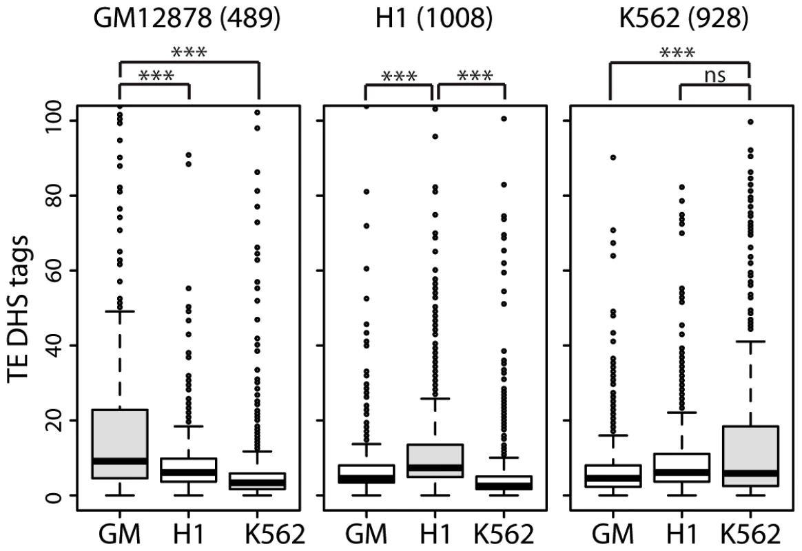 lncRNAs with cell-type specific expression are also associated with cell-type specific TE–DHS.