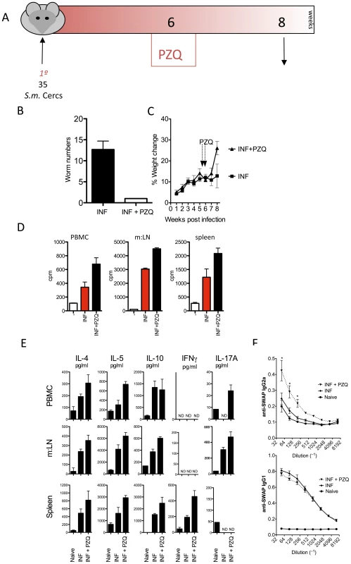 Elevated anti-worm responses post PZQ treatment.