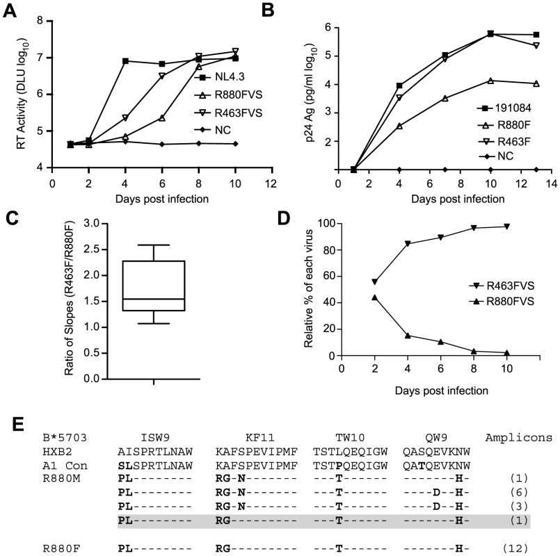 Kinetics of <i>in vitro</i> replication of viruses recovered from the earliest-available plasma samples from R880F and R463F and IMCs corresponding to each subject's deduced T/F virus sequence.