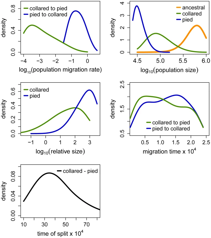 Posterior probabilities of key parameters of the recent migration and ancient size change (RMASC) model.