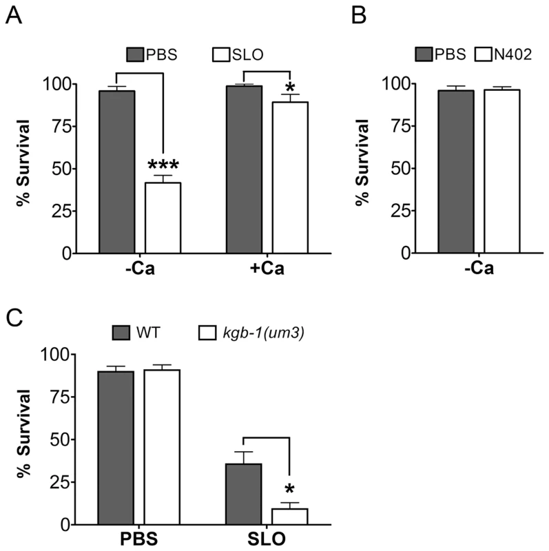 Intoxication of <i>C. elegans</i> by SLO and the requirement of <i>kgb-1</i> in protecting <i>C. elegans</i> against SLO.