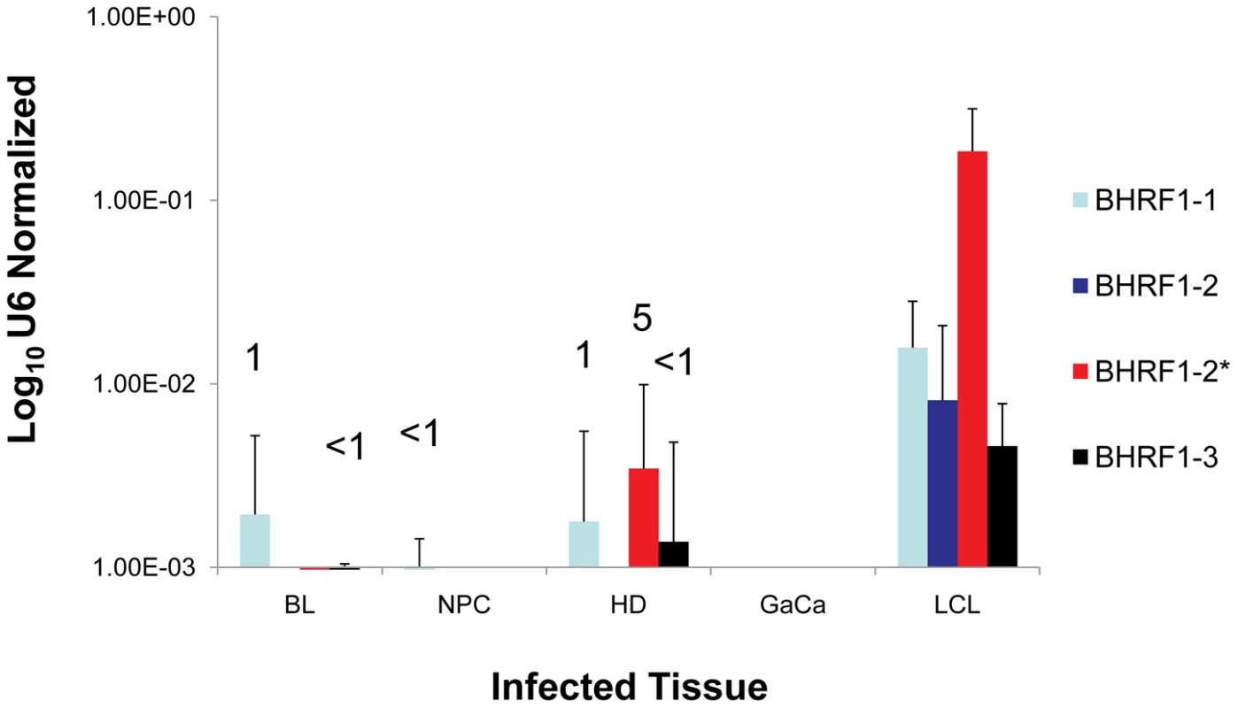 The profile of EBV BHRF1 miRNAs in LCL and neoplastic tissues.