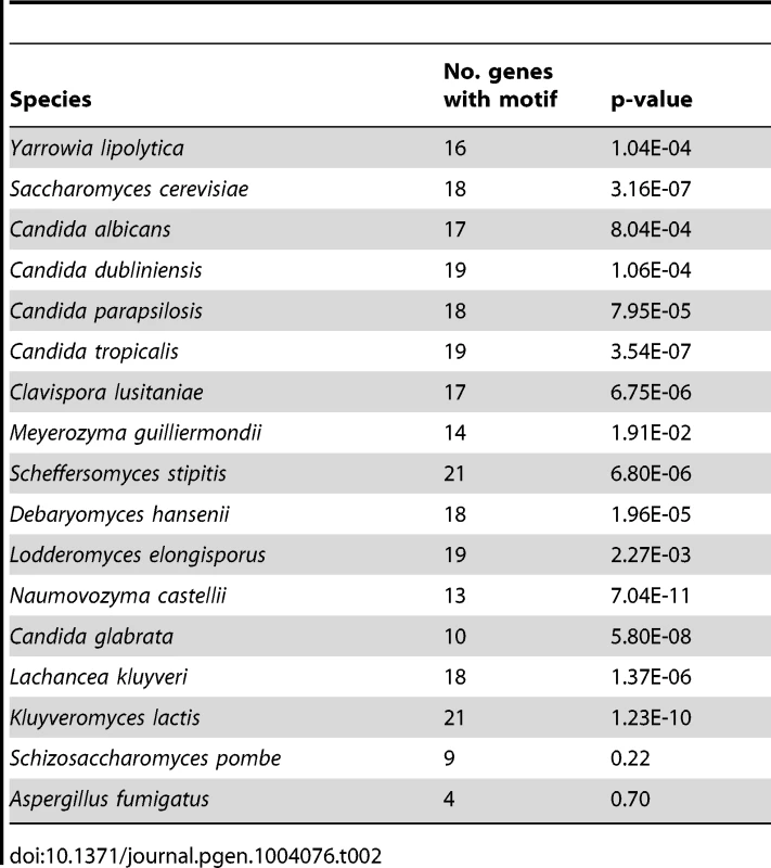 Enrichment of Upc2 binding motif in 21 ergosterol synthesis genes.