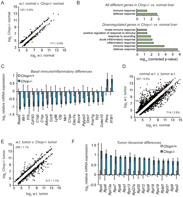 Microarray profiling reveals CHOP-dependent differences in inflammation and ribosomal biogenesis genes.