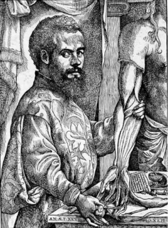 Andreas Vesalius Bruxellensis