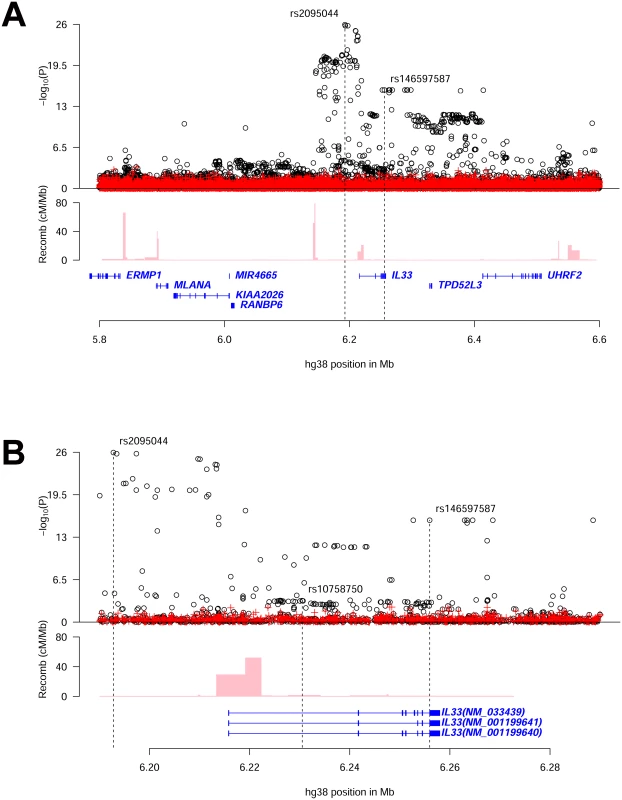 Overview of eosinophil counts associations in the region around <i>IL33</i>.